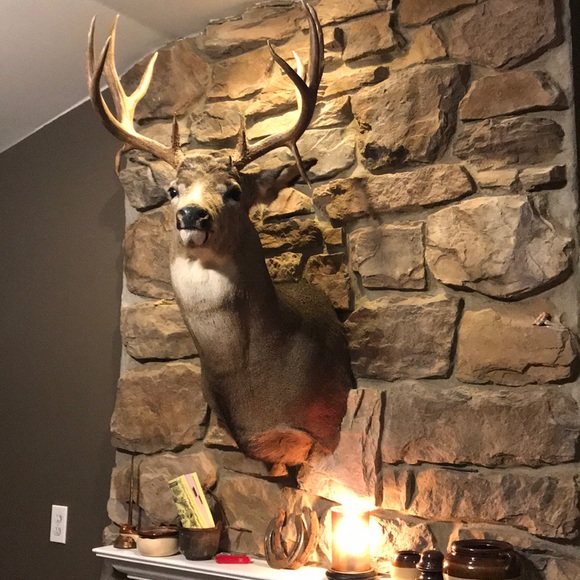 Meet your Posher, Kevin - Picture 1 of 1